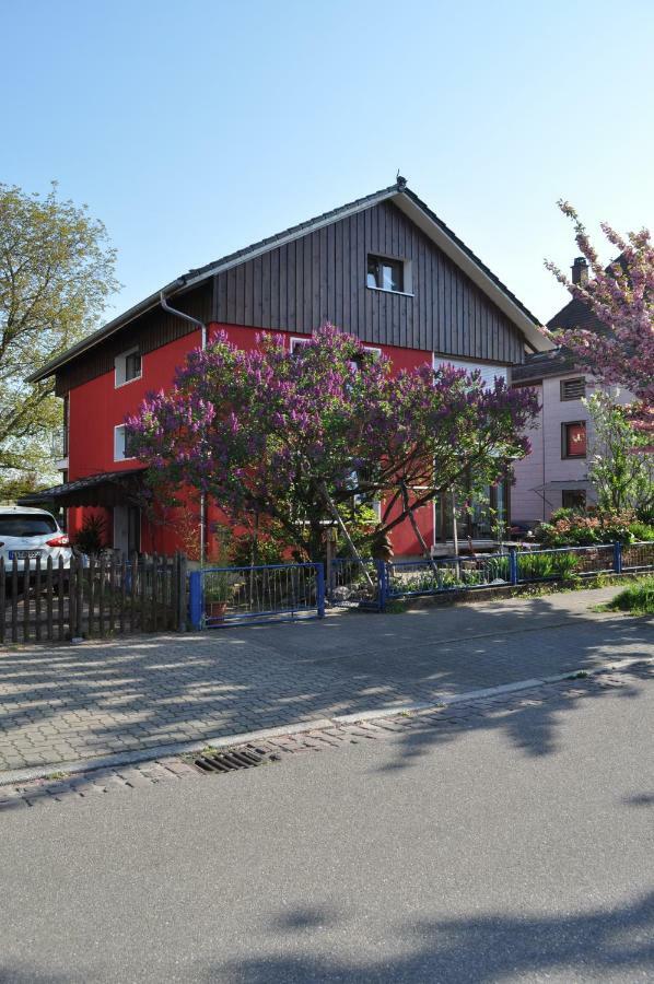 Punkrock Harbour Pension Baehr 卡尔斯鲁厄 外观 照片